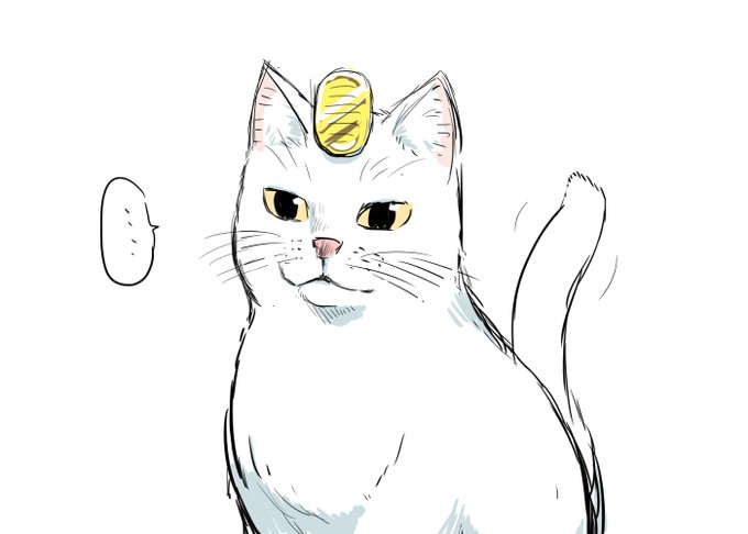 飼い主に小判を着けられてニャースにされても動じない猫ちゃん。 