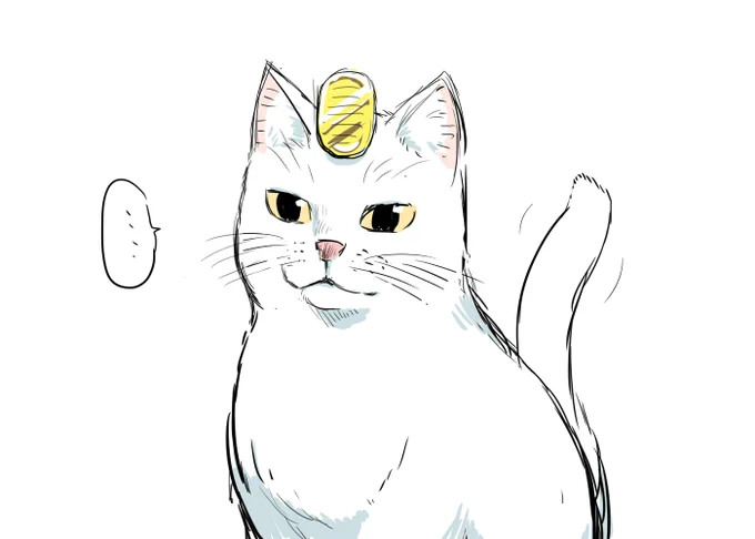 飼い主に小判を着けられてニャースにされても動じない猫ちゃん。 