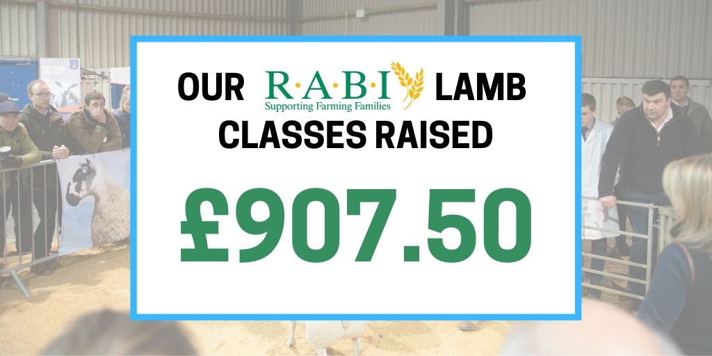 Thank you to the 7 individuals who entered into the <a href="/RABIcharity/">RABI - the Farmers Charity</a> lamb classes at #WSF2019, we are always blown away by the generosity of the farmers! RABI really appreciate the generosity of those who keep giving and supporting the charity! 💚 <a href="/RABIEast/">RABI East</a>