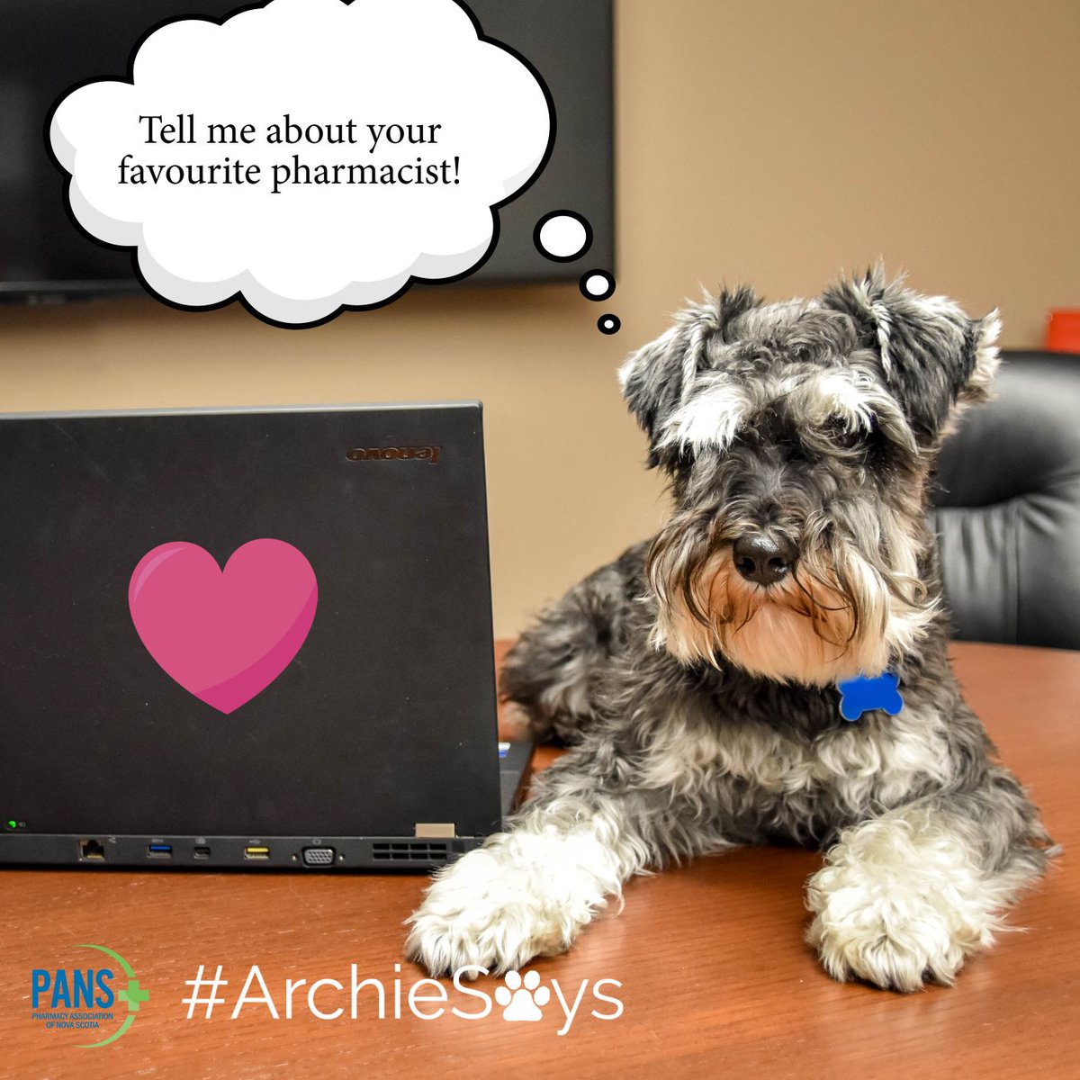 PharmacyNS's tweet photo. #ArchieSays 🐾 to nominate your favourite #pharmacist, pharmacy team or pharmacy #technician for their paw-some work! Click here: https://t.co/L0AB6aHztf https://t.co/yEx0VrgHjN