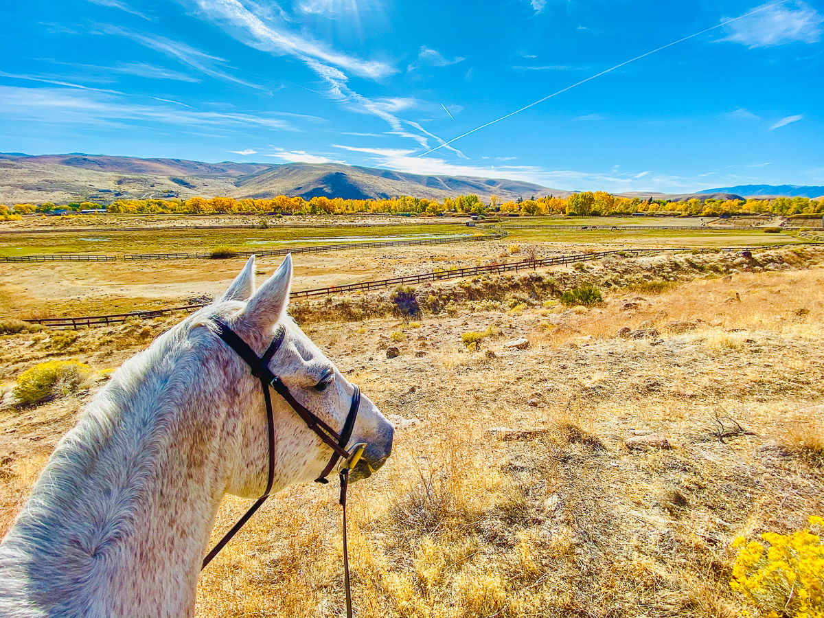 The EMO Agency, Inc. tweet media