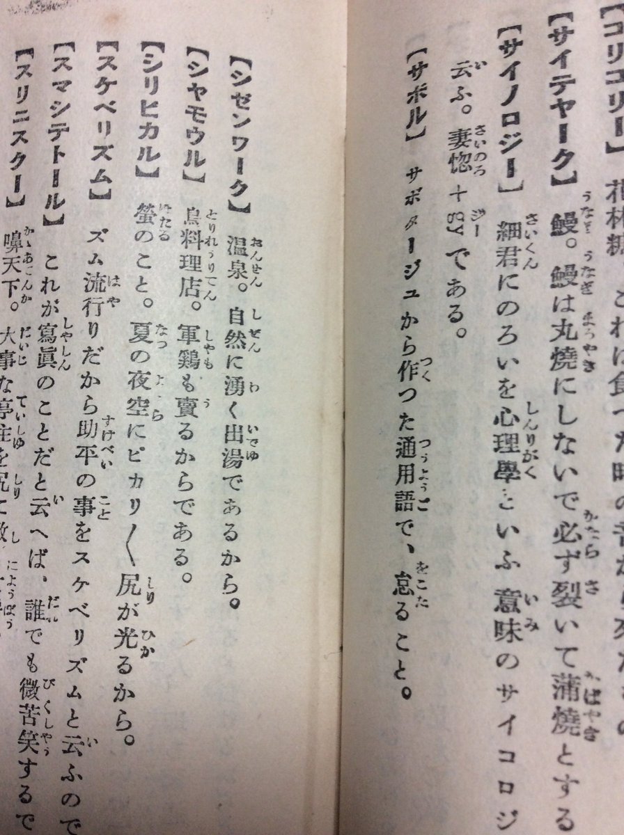 岡島昭浩 Schrift Sprache Iima Hiroaki 和製英語 は 新時代の尖端語辞典 でも 同様の疑似 外国語 外国語もどき というような意味で使われていますが そこに スコトン が紛れ込んでいるとは驚きました なお サイノロジーのノロは