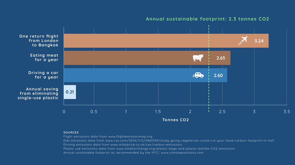 LivingLowco's tweet photo. We hate single-use plastic just as much as the next eco-conscious person, but just to put things into context. From @FlightFree2020. For more context on what 3.24 tons of CO2 means, go here: https://t.co/jeJl4zU02E https://t.co/pfHjeF69zg