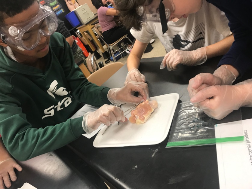 AmandaCrump18's tweet photo. What do people and chickens have in common?ALOT!  Students discover and identify the four animal tissue types through dissection of a chicken wing. https://t.co/rZ70xnsNsw