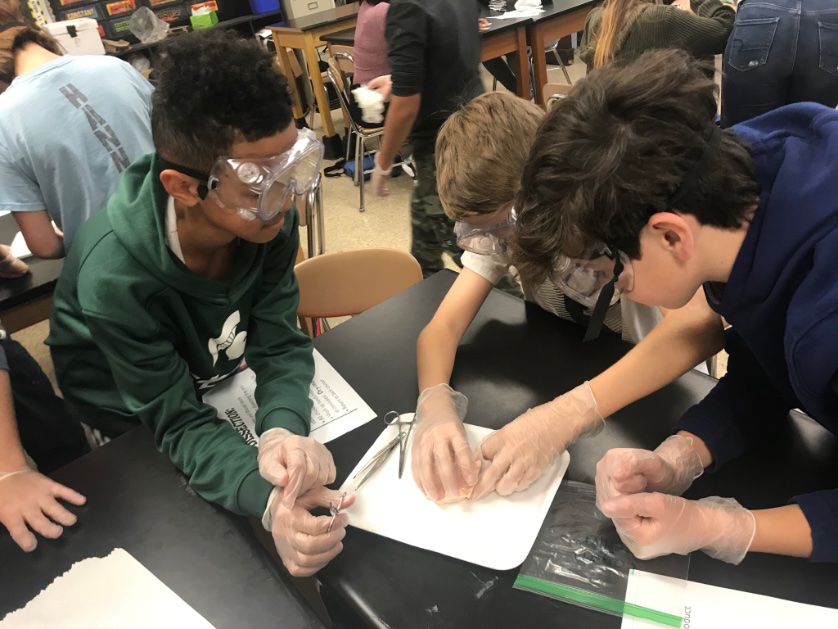 AmandaCrump18's tweet photo. What do people and chickens have in common?ALOT!  Students discover and identify the four animal tissue types through dissection of a chicken wing. https://t.co/rZ70xnsNsw
