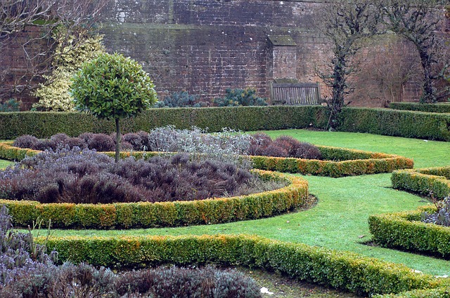plc_cares's tweet photo. Do my shrubs need dormant oil? If your landscaping has struggled with insect damage, #DormantOil is a must. Read more >> https://t.co/5X6v2USohi
#PersonalLawnCare #LawnCare #LawnSpray #Lawn #Memphis #Tennessee #InsectDamage https://t.co/j3nxqaZXmu