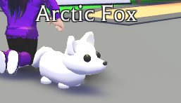 Adopt Me On Twitter If An Arctic Fox Could Sit Would It Sit Like This Or Like That - roblox adopt me kitsune in real life