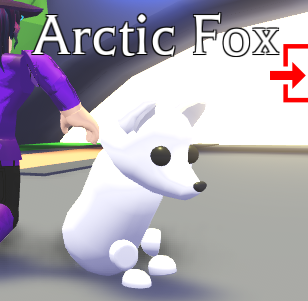 Adopt Me On Twitter If An Arctic Fox Could Sit Would It Sit - neon arctic fox adopt me roblox