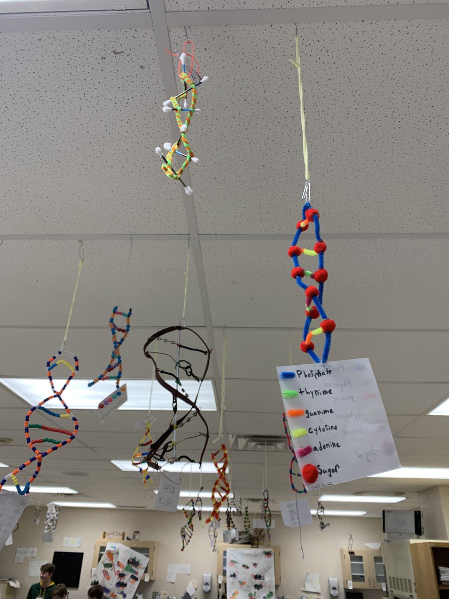 7th grade science DNA projects are finished in ms banisky class! #science #dna @District271