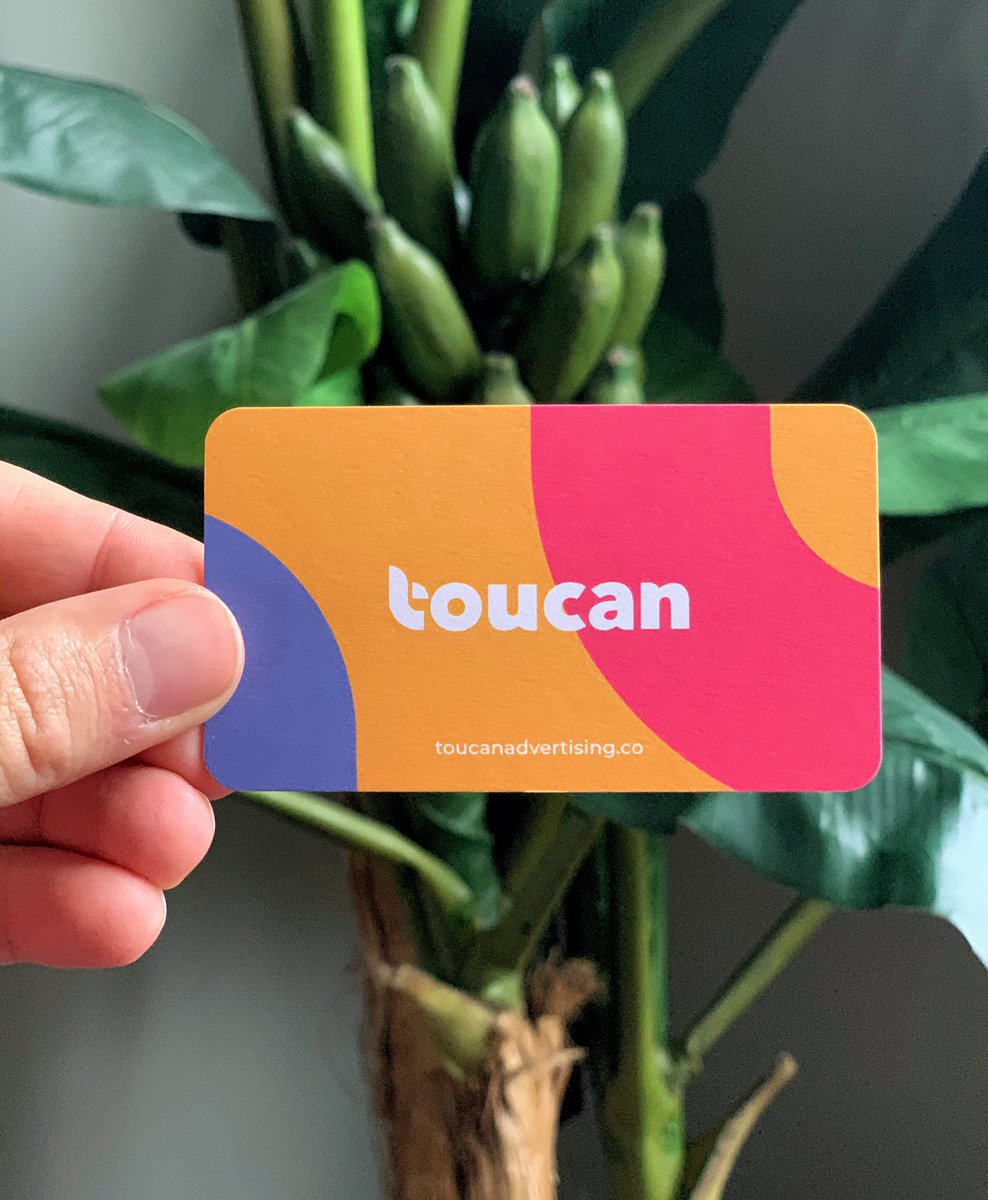 ToucanAds's tweet photo. New biz cards, who dis? https://t.co/IP9kDwecQj