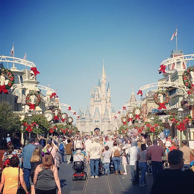 TheDisneyBlog's tweet photo. The weather yesterday at the Magic Kingdom was really perfect theme park weather. Nice and sunny during the day, but not too hot. Park was looking extra merry too with all the Christmas spirit
.
.
.
.
#wdw #magickingdom #disneyworld #christmas #cinderell… https://t.co/inL9ZXZIXC https://t.co/4C2PFemAkK