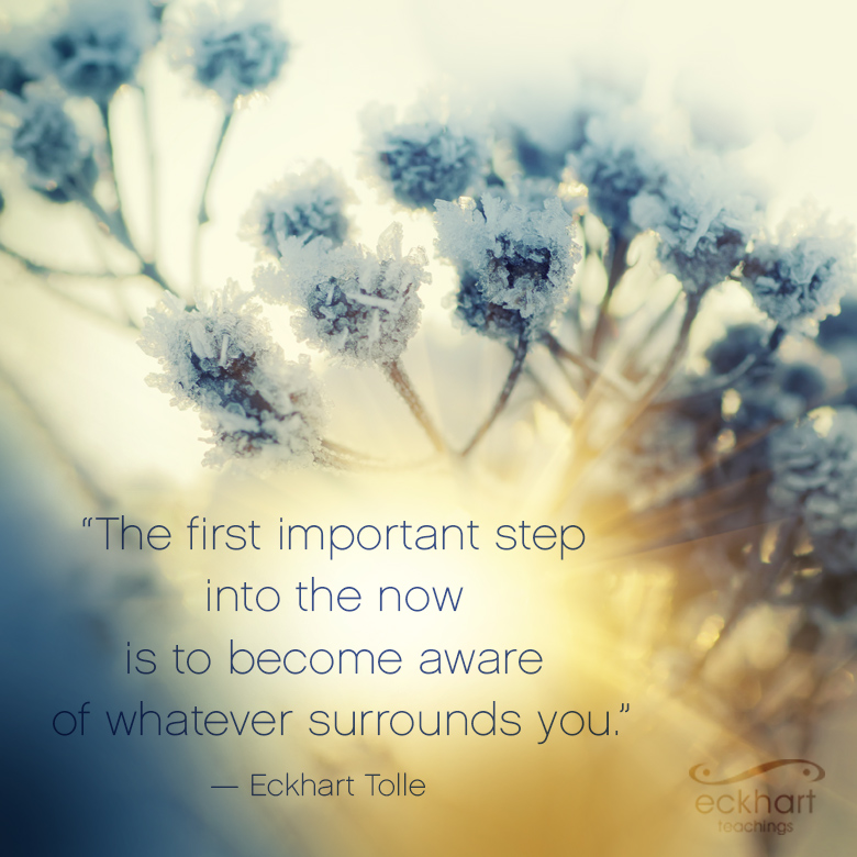 "The first important step into the now is to become aware of whatever surrounds you." - Eckhart Tolle