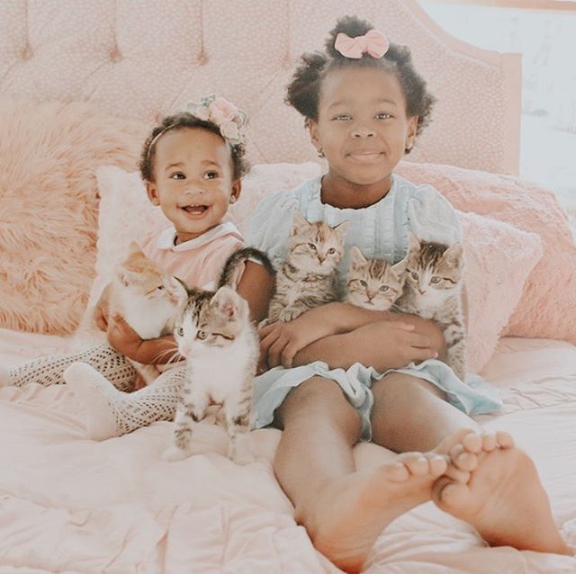 BoldStreak's tweet photo. Sometimes you wish that they stayed this cute and cuddly forever. Fortunately, livesweet’ve spent lots of time making sure that they each will have a wonderful home to grow up in. Stay strong Lindsey, these kittens will be amazing additions to their new families. What are some m https://t.co/d2DyYCmvOU