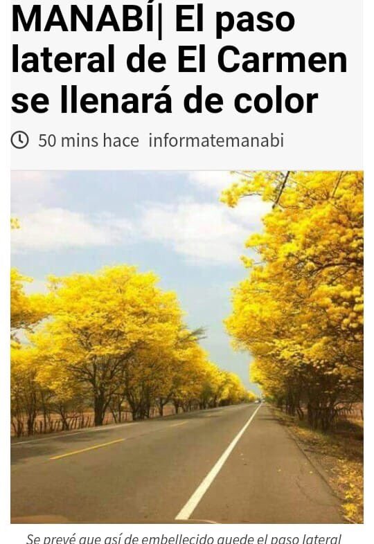 RodrigoMenaR's tweet photo. Paso lateral de El Carmen tendrá color, tenemos el mejor programa de reforestación, te esperamos este 20 de diciembre #ContigoCambiamosElCarmen https://t.co/pOoFnvw2Bh