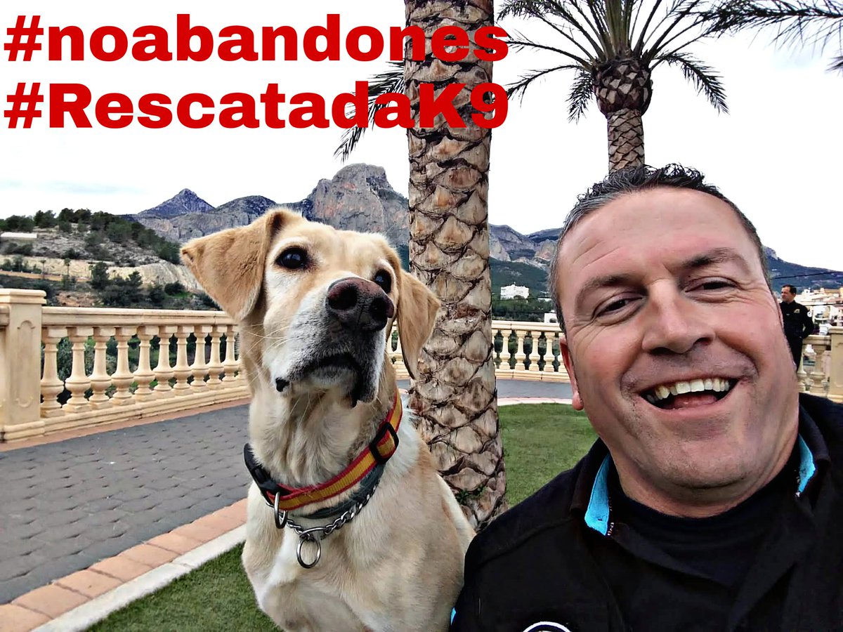 LapaMarcaje's tweet photo. Abandonar a parte de ser #Delito337bis es👹...una crueldad. 🐺🐕🐾 #Adopta/#dona/#cedelos para trabajar y ser #K9. Detectora de micras en movimiento‼️ grande‼️ nuestra #chica adoptada #TINA🐾K9👮 @AyHuercalOvera @HuercalOveraCF @HUERCALOVERA1 @AdoptalosEs @AdoptaK @life4pitbulls https://t.co/FSbTFftYvZ