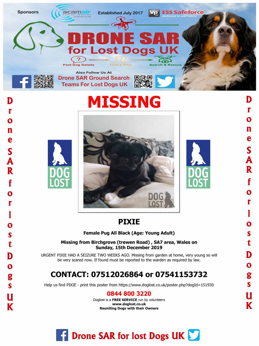 sar_dogs's tweet photo. #LostDog #Alert PIXIE
Female Pug All Black (Age: Young Adult)
Missing from Birchgrove (trewen Road) , SA7 area, Wales on Sunday, 15th December 2019   #DroneSAR  #MissingDog https://t.co/nCPAHtRmRA
