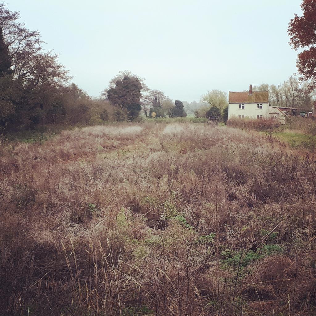 Nick Walker tweet media