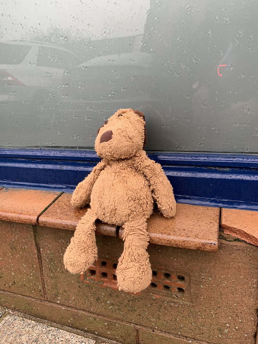 DowntownMaps's tweet image. Great News! 😊 This little fellow is home &amp;amp; re/United with his family! Thank you to everyone who helped by sharing!
#christmas #helensburgh