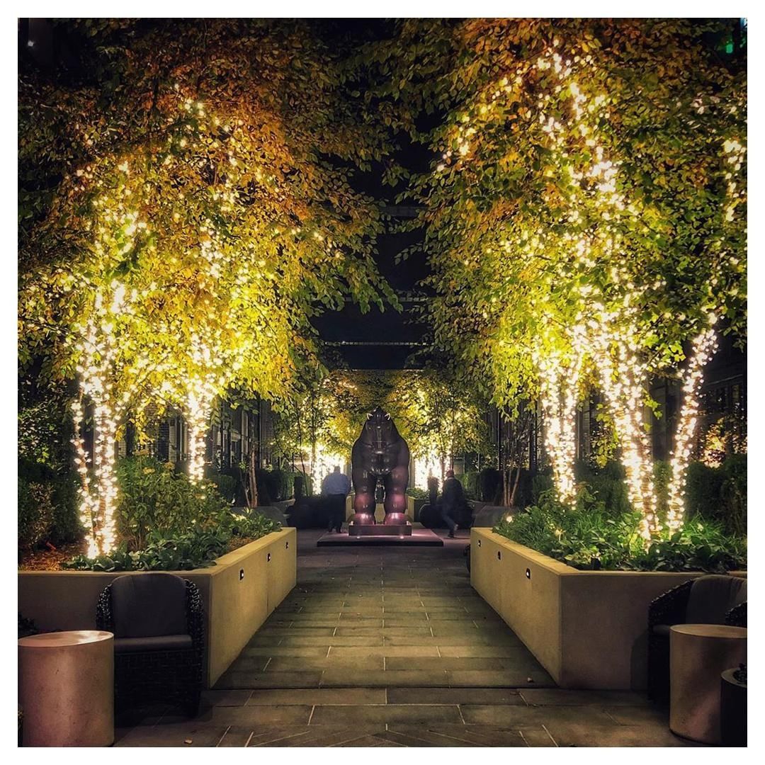 The courtyard #SagamorePendryBaltimore is decked for the season. Stop by and see all 16 trees wrapped with 276 strings of lights.