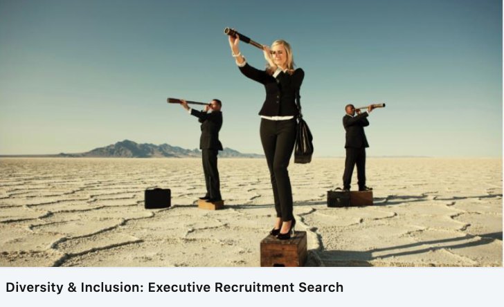 Oec2solutions's tweet image. Deliver Diverse Qualified Executives That Align With Your Company&apos;s Values and Culture
conta.cc/2RZzdqq 
#executiverecruitment #executivepositions 
#diverseworkforce #diversityhiring #inclusioninaction 
#diversityofthought #diverseperspectives