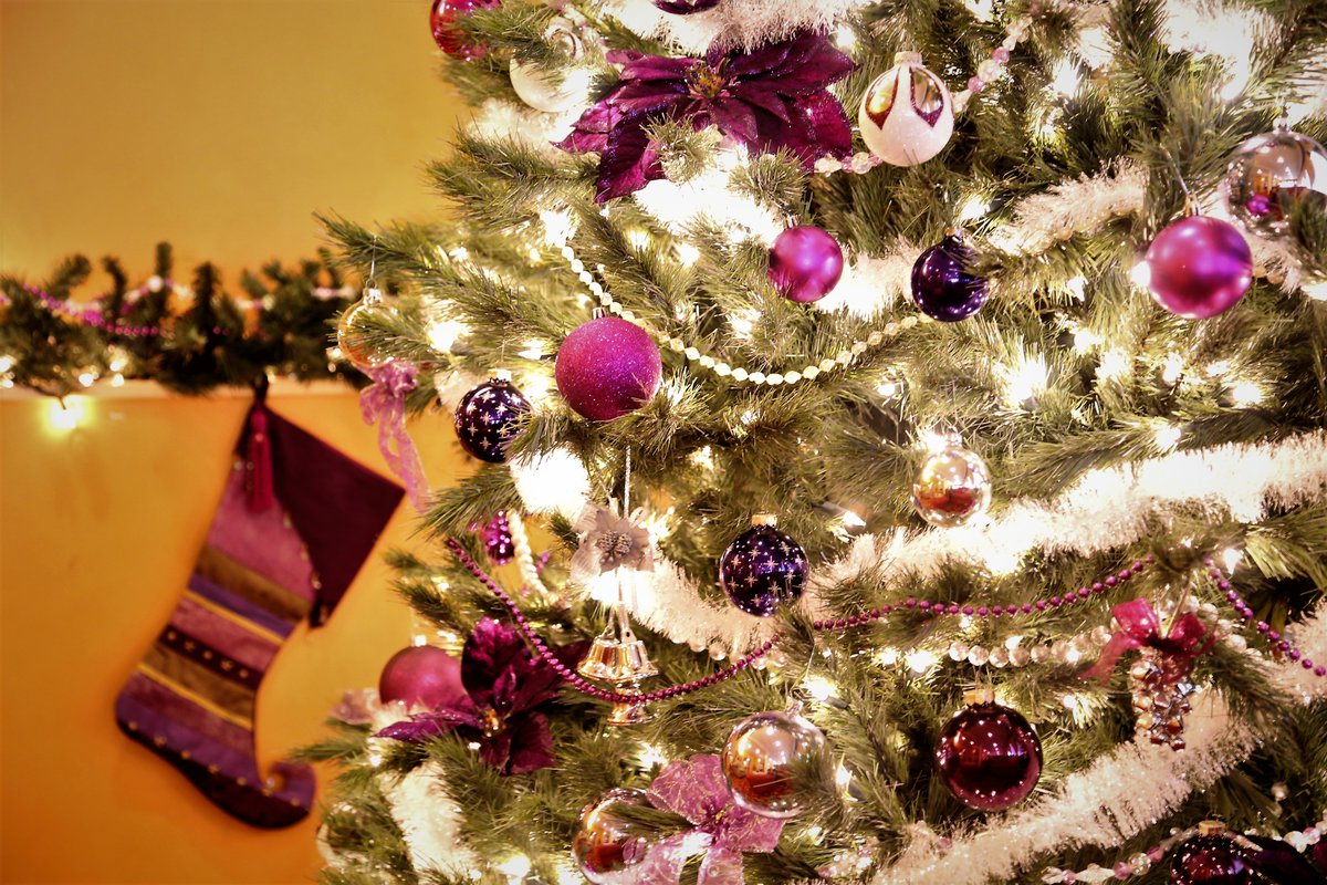 SigmasEvent's tweet photo. Today is your lucky day! There is still time to book your Holiday party at Sigmas. It's not too late! You deserve to enjoy your holiday get together just as much as your guests. Let our team take care of it for you. Hurry, spots are filling up quickly! https://t.co/9qG7i7vAMx