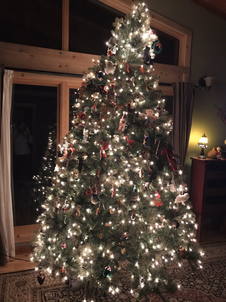 mtns4ever's tweet photo. @jannarden Happy Holidays @jannarden  Thank you for your show, and your books, your music, your humour, your gratitude, kindness &amp; for not eating our friends😌 https://t.co/Bshh7hHu9t