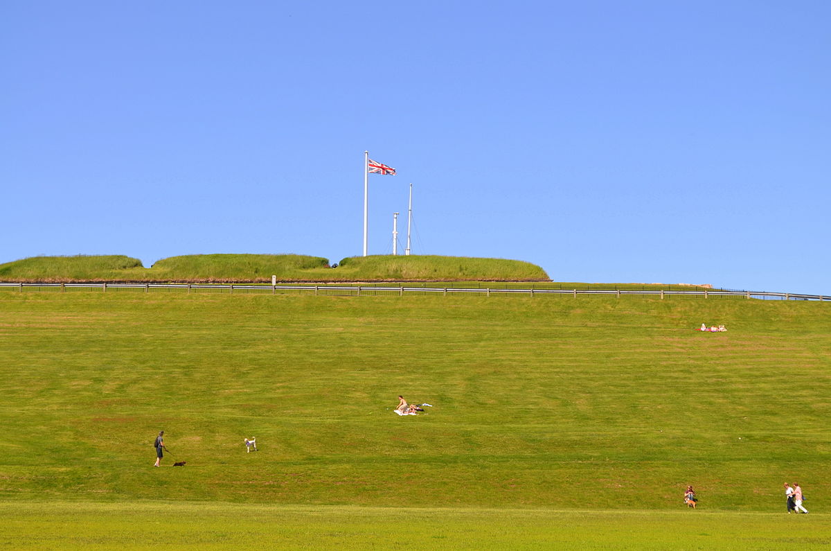 Citadel Hill is probably our biggest opportunity for green space . Today, it’s a monoculture of grass, which is great for a sports field, but not so great for bringing biodiversity benefits into the city. Would it really hurt us to plant a few more trees or a pollinator garden?