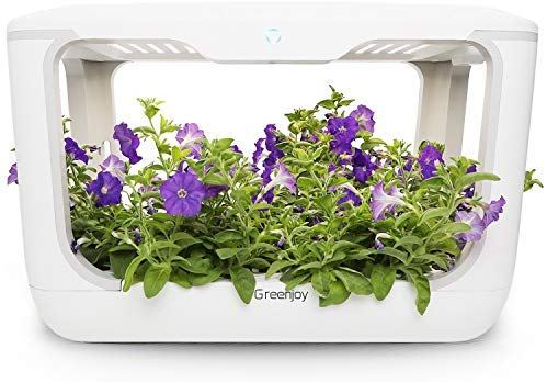 Welovetheearth Com On Twitter Greenjoy Indoor Herb Garden