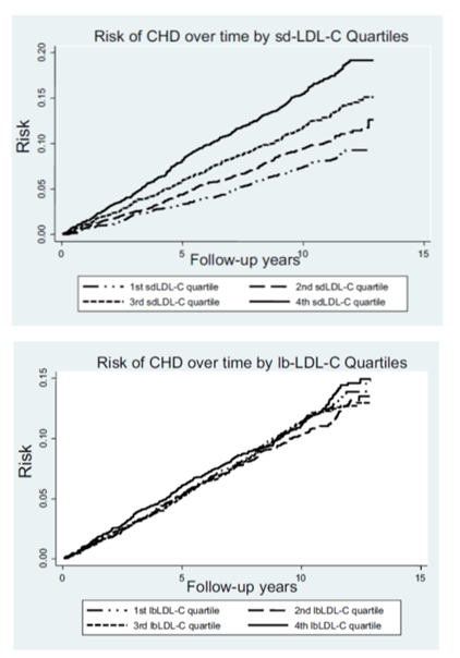 LDLSkeptic's tweet photo. Most important figure in CHD lit:
Native LDL (lbLDL) has NO RELATION to CHD
Glycated LDL (sdLDL) [w/ ⬆️TGs⬇️HDL = metab syndrome] associated w/ CHD
DOI: 10.1161/ATVBAHA.114.303284
@eatmostlyfatali @FatEmperor @FructoseNo @DaveKeto 
@ProfTimNoakes @DrAseemMalhotra @DrPaulMason https://t.co/9Uifooj0sA