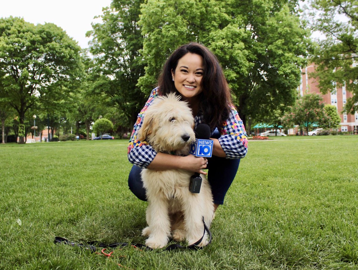 JessBriganti's tweet photo. My Monday is made!! Our #10inYourTown shows took us all across the Capital Region &amp; I fell in love with sweet Finn when we were in Glens Falls! This beauitful boy is a therapy dog for so many students 🐶 Big thanks to @GFSuper for sending me his class picture! 😍 https://t.co/SQ19Vi0uO1