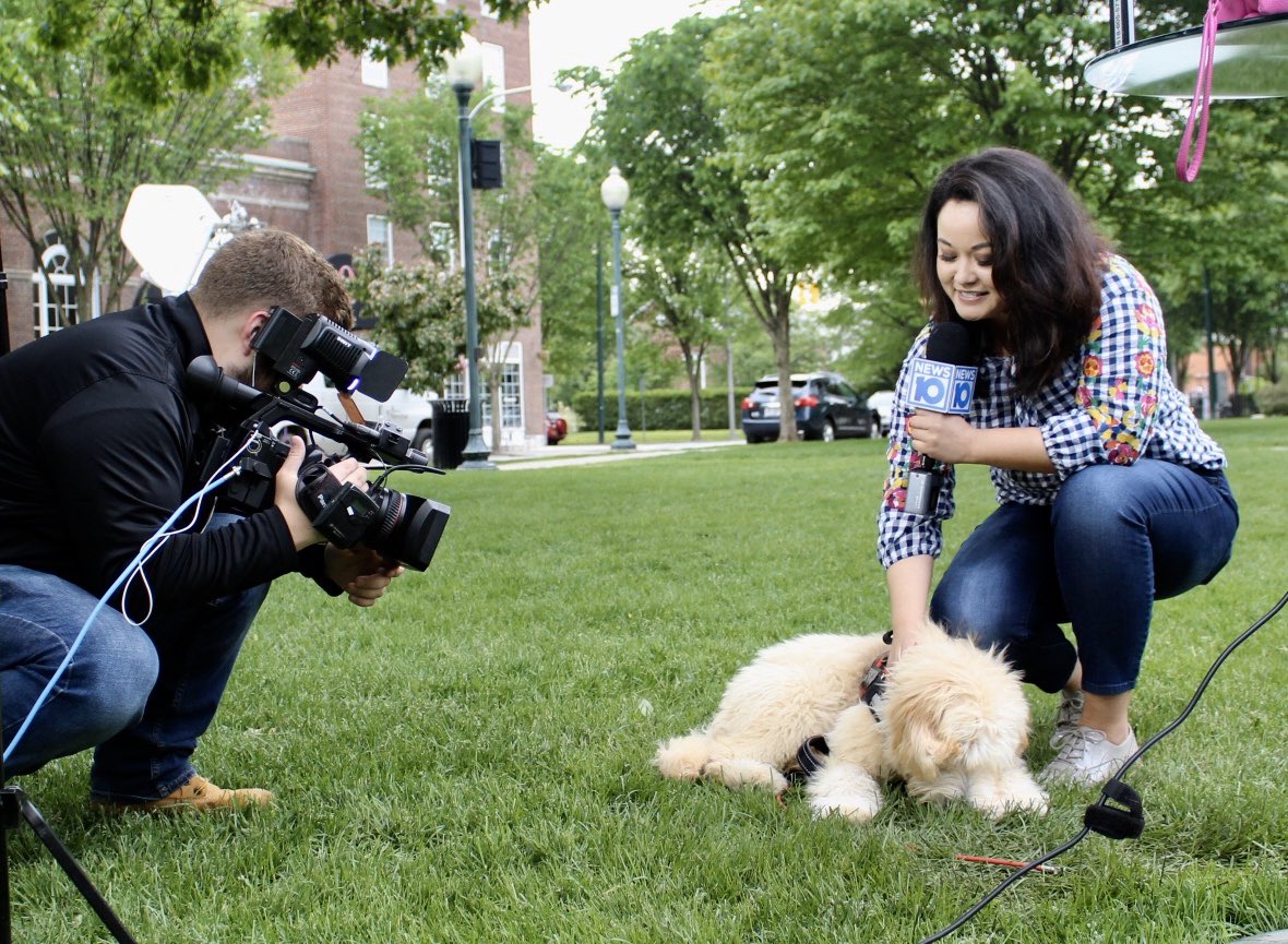 JessBriganti's tweet photo. My Monday is made!! Our #10inYourTown shows took us all across the Capital Region &amp; I fell in love with sweet Finn when we were in Glens Falls! This beauitful boy is a therapy dog for so many students 🐶 Big thanks to @GFSuper for sending me his class picture! 😍 https://t.co/SQ19Vi0uO1