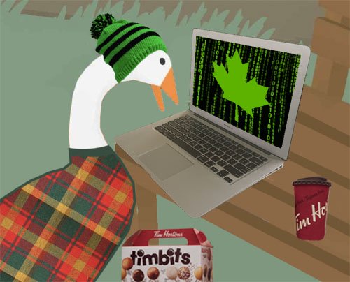 Canadian hacker goose with timbits, coffee, a tartan shirt, and a toque surfing the Canadian darknet.