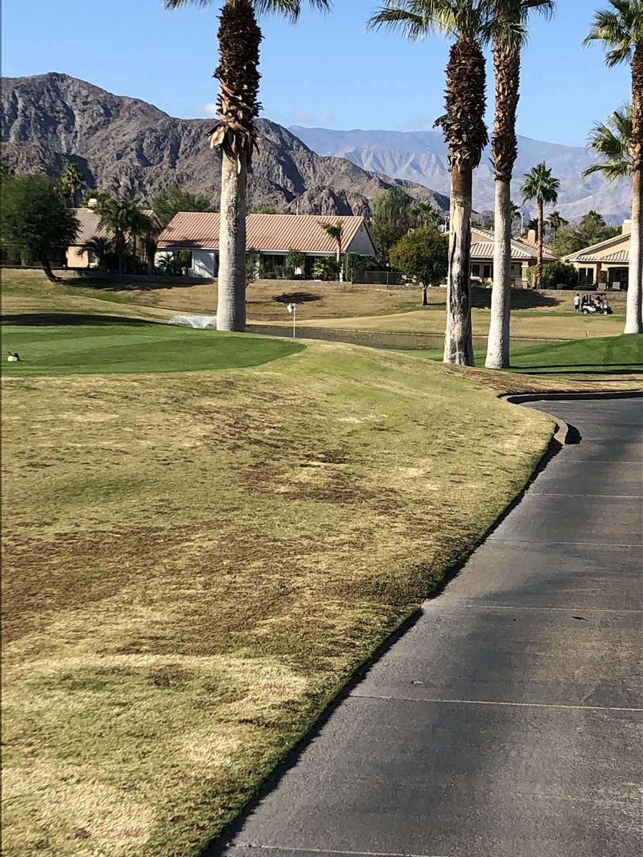 AndyKitchen3's tweet photo. Fun few days in Vegas and Palm Springs! Well needed breather and recharged to get through the rest of this year! Blessed to have so many laughs and good friends! 👍💯🍻😎🏌🏻♂️@stayandbchamps #TakeCover #Ballin #RockShot #BladedWedge #OffThePlanet #DogS https://t.co/76yvvXwvd2