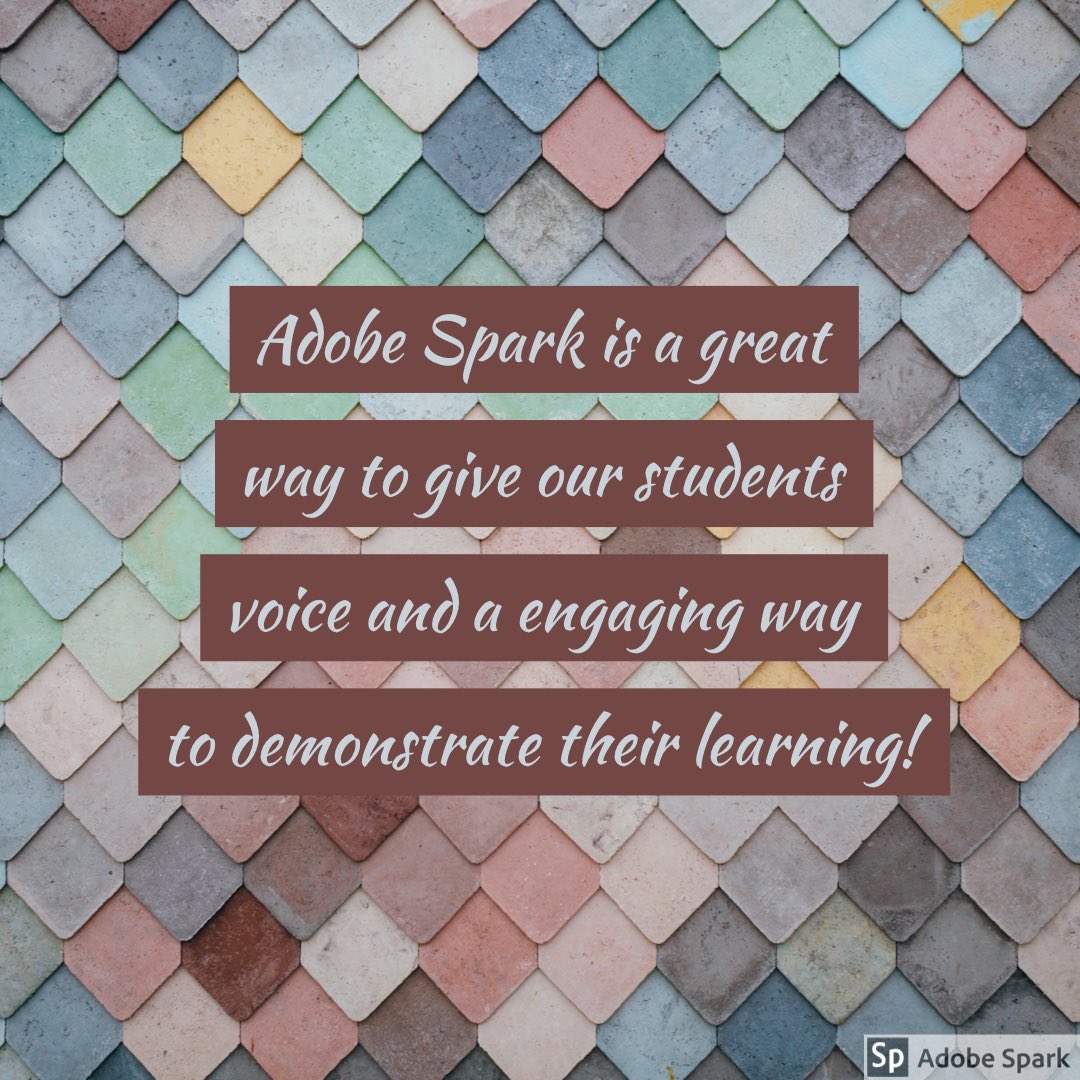 Cathy Knutson tweet media