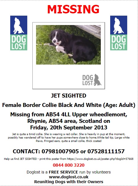 gelert01's tweet photo. The Year 2013 

The date : 20/09/2013 

The place : #Upper #Wheedlemont #Rhynie #AB54 #Scotland  

The Breed: Border Collie

The name : #JET

Missing too long. Please RT to help remind &amp; find that #JET still AWOL! https://t.co/6gKZc2UVVe