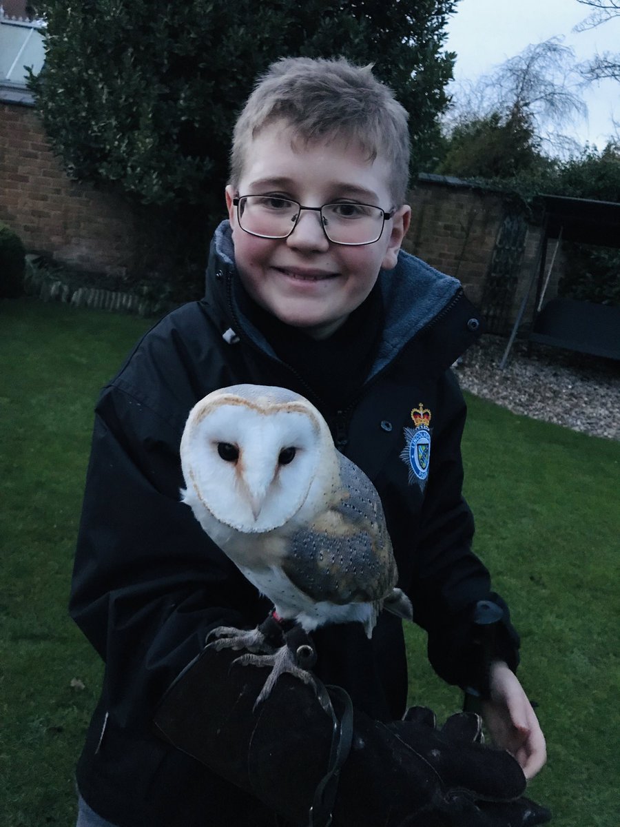 Animalassistedtherapy Hashtag On Twitter