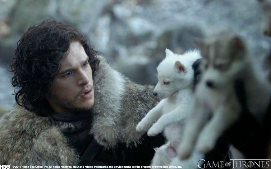 HBOMaxUK's tweet photo. All i want for christmas is a direwolf. ❤️ https://t.co/FHIcG9vYkv