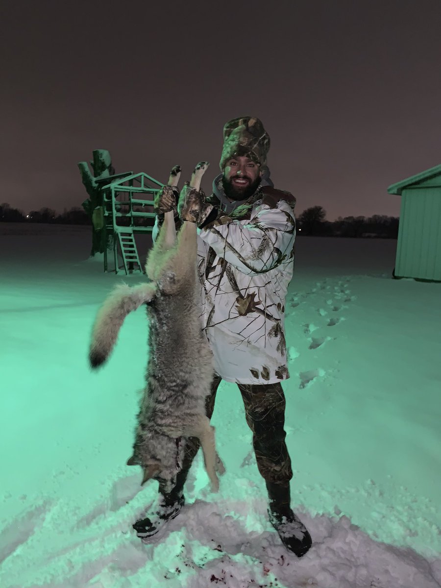 Big snow storm in the midwest means coyotes are on the move! This guy almost ate our <a href="/FOXPROInc/">FOXPRO Inc.</a> Inferno! Video will be up soon!