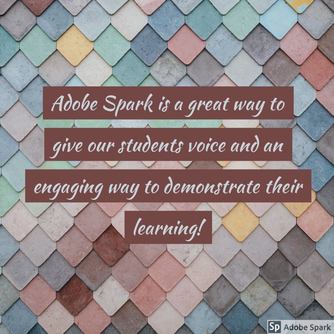 Cathy Knutson tweet media