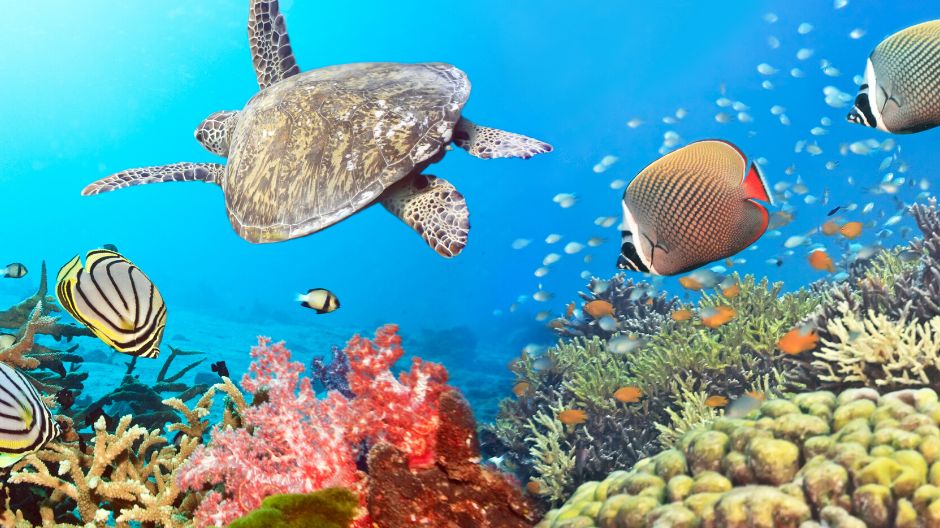 Delta Hotels Woodbridge tweet media