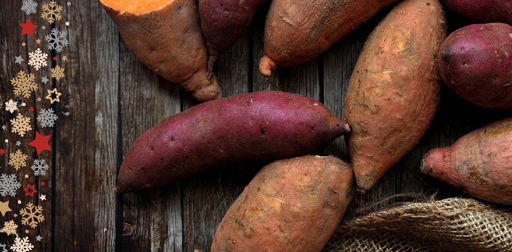 thomasfresh's tweet photo. Yams & Sweet Potatoes are both holiday classics! Mash either root vegetable and add butter, brown sugar and holiday spices. 🎄
.
.
#holidayrecipes #dinnerrecipes #popularclassics https://t.co/rW9cnISKO6