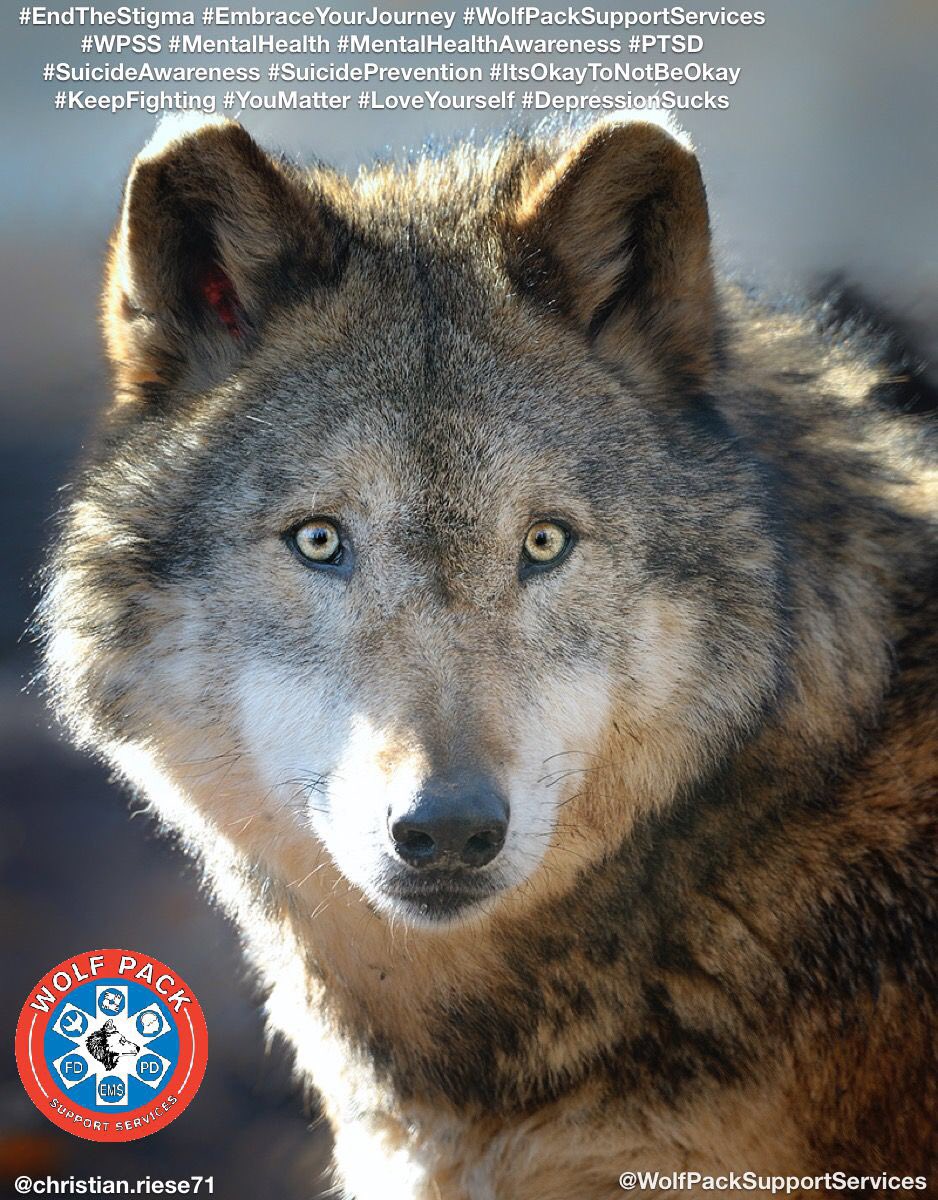 WolfPackPTSD's tweet photo. #EndTheStigma #EmbraceYourJourney #WolfPackSupportServices #WPSS #MentalHealth #MentalHealthAwareness #PTSD #SuicideAwareness #SuicidePrevention #ItsOkayToNotBeOkay #KeepFighting #YouMatter #LoveYourself #DepressionSucks #AskForHelp https://t.co/B6o1Apsh9O