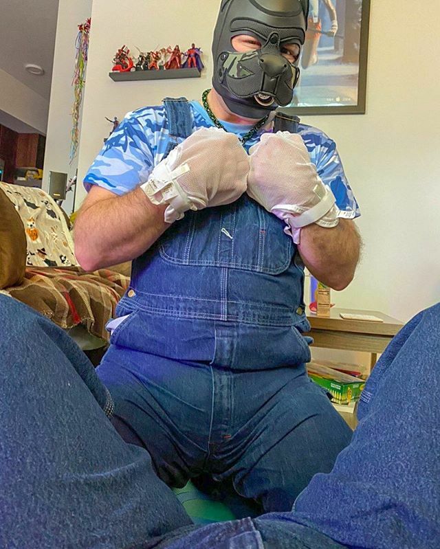 pupfarrstrider's tweet photo. Awrf! I felt so freakin cute yesterday! Trav, gifted me this incredibly cuuuute camo onesie, and dressed me up in a pair of his overalls... Awrf! 🐶🐾
...
Also... much soggy in this pic 😋🐾
#farrstrider #littlespace #humanpupcommunity https://t.co/PbG8Esw01U