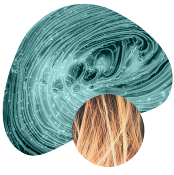 HackathonHQ's tweet photo. LโOrรฉal is looking for new products that can help wash and treat hair using zero, to less water ๐ฆ Do you have a #solution? #idea? ๐ Sign up now and get a chance to n #collaborate with L'Orรฉal ๐ https://t.co/UHSUxal05T ๐ฑ #WaterlessChallenge https://t.co/8AeEeQIbmo
