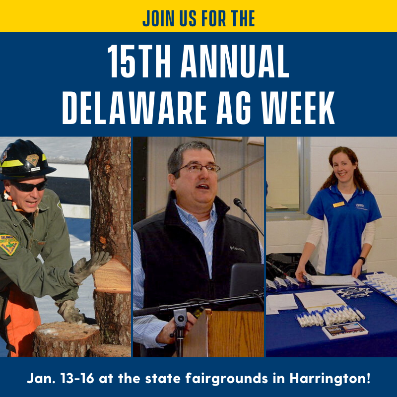UDExtension's tweet photo. A 15-year tradition, #DelawareAgWeek draws thousands of farmers, growers, producers, crop advisors and extension agents β as well as 90+ businesses, organizations & vendors!
π± Learn more at https://t.co/JVpDg0rHwG
#netDE #Delaware #AgWeek #Agriculture #Delmarva #HarringtonDE https://t.co/3TIfhh9h2p