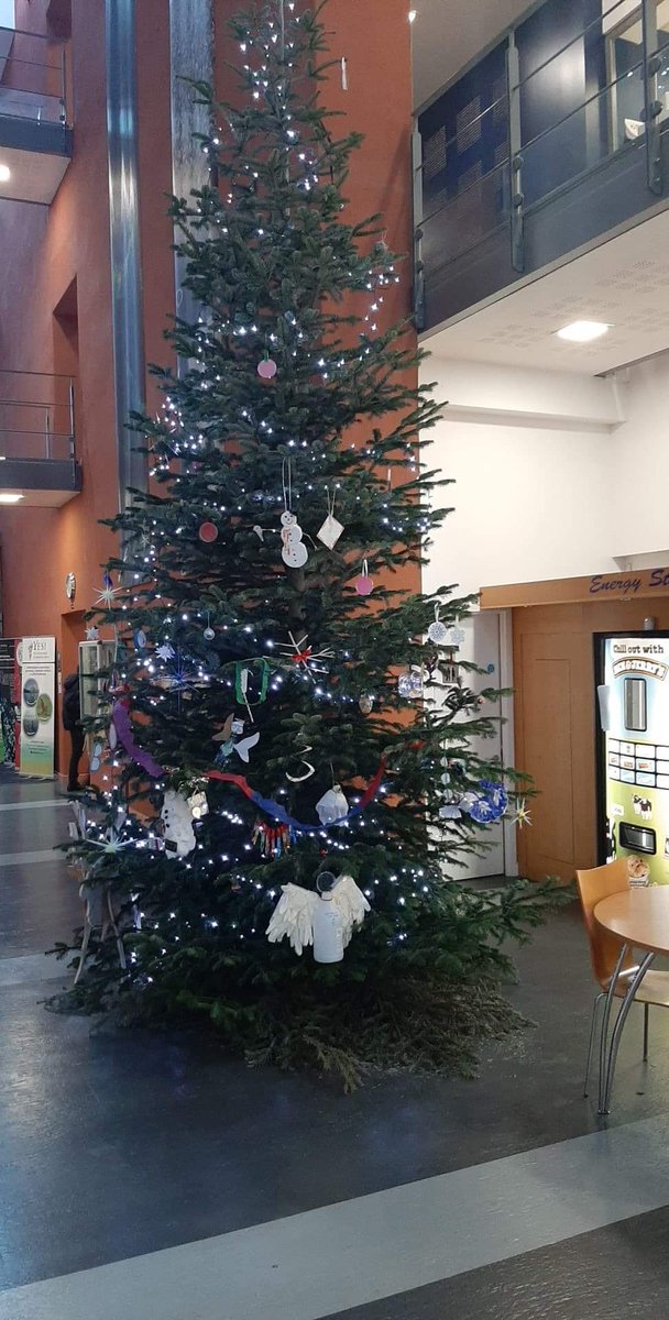 SamHigginbotha2's tweet photo. Feel like a real scientist now after giving my first conference talk at #Biteg2019. Good talks and science however a particular highlight was the christmas tree decorated with recycled lab equipment. https://t.co/c9GSpLkkHZ