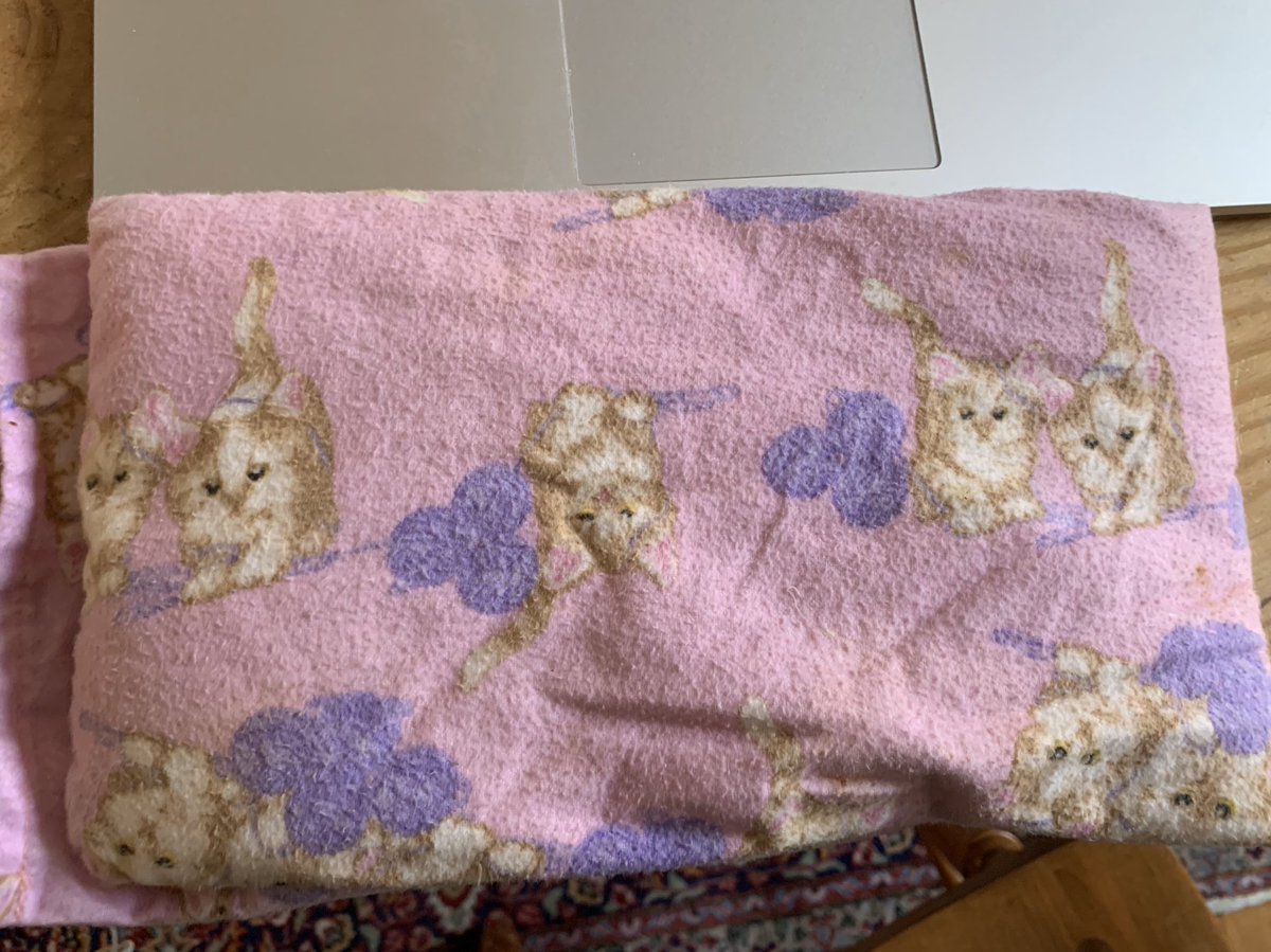 Heating bag with cat print