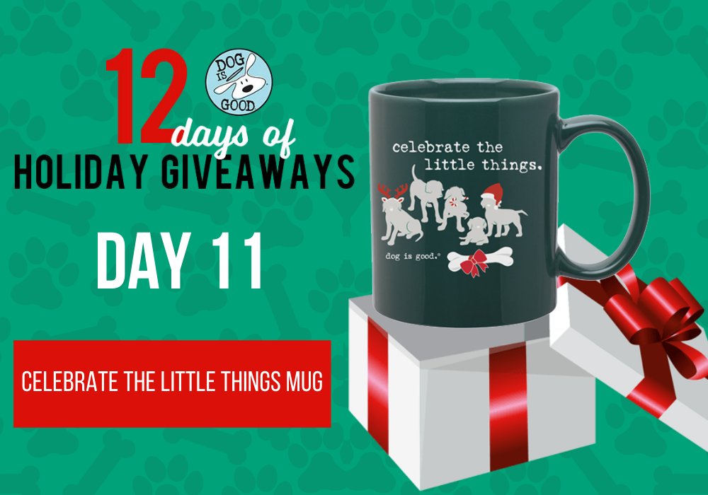 🎁 It's Day 11 of Dog is Good's 12 Days of Holiday Giveaways!

✅ Enter to win the Celebrate the Little Things Mug
bit.ly/351kK0w

🐾 Show off your love of dog this holiday season!