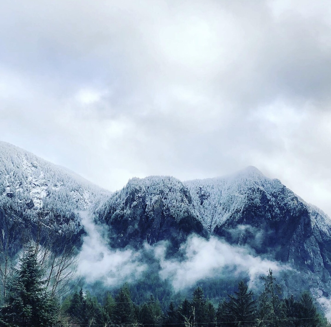 Winter is coming!
wildemoonretreat.com 
#wildemoonretreat