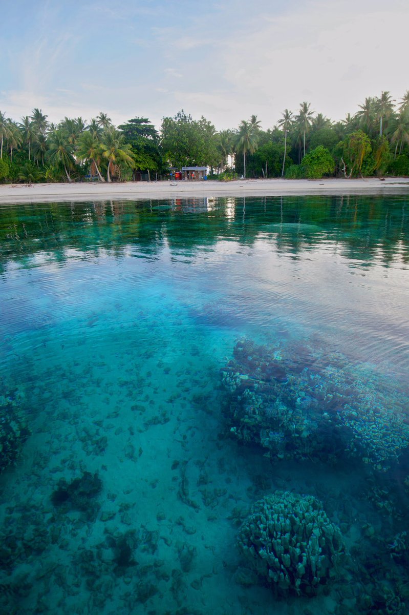RTFilms's tweet photo. Happy Monday! Some workdays are better than others 🌴                                  #AcceptableFallout #ClimateJustice #RisingSeas #Documentary #COFA #Healthcare #NuclearLegacy #IndieFilm #Majuro #MarshallIslands #Palau #FSM https://t.co/r32wq2zwHL